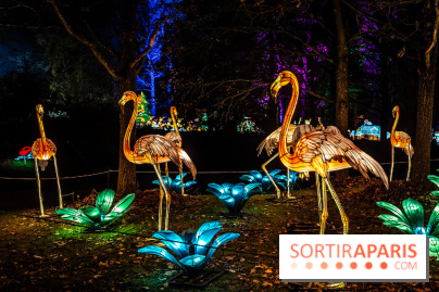 L'Odyssée Lumineuse au Parc Floral 2025, les photos