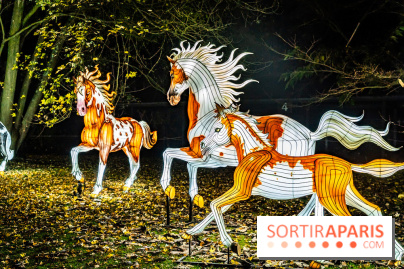 L'Odyssée Lumineuse au Parc Floral 2025, les photos