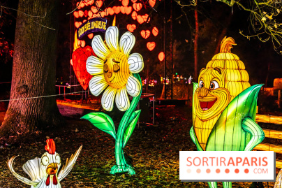 L'Odyssée Lumineuse au Parc Floral 2025, les photos