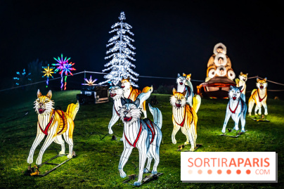 L'Odyssée Lumineuse au Parc Floral 2025, les photos