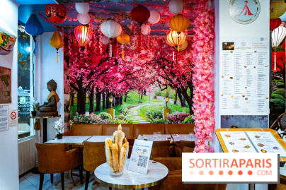 Amour du Vietnam, le restaurant Vietnamien Paris 14e - A7C01635