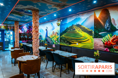 Amour du Vietnam, le restaurant Vietnamien Paris 14e - A7C01634