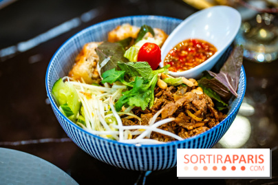 Amour du Vietnam, le restaurant Vietnamien Paris 14e - A7C01614