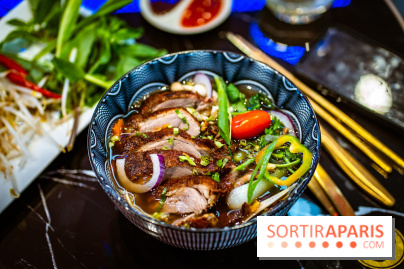 Amour du Vietnam, le restaurant Vietnamien Paris 14e - A7C01594