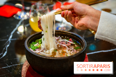 Amour du Vietnam, le restaurant Vietnamien Paris 14e - A7C01580