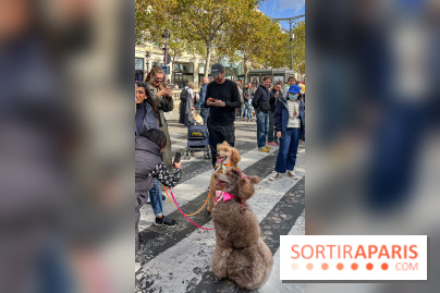 La Marche des animaux à Paris : défilé gratuit, ouvert aux chiens, chats ... sur les Champs-Élysées