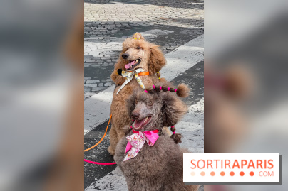 La Marche des animaux à Paris : défilé gratuit, ouvert aux chiens, chats ... sur les Champs-Élysées