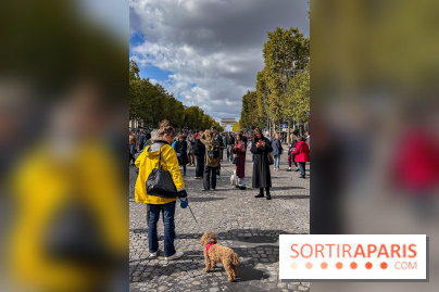 La Marche des animaux à Paris : défilé gratuit, ouvert aux chiens, chats ... sur les Champs-Élysées