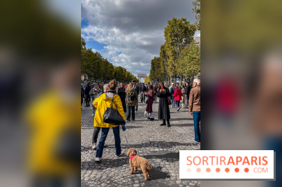 La Marche des animaux à Paris : défilé gratuit, ouvert aux chiens, chats ... sur les Champs-Élysées