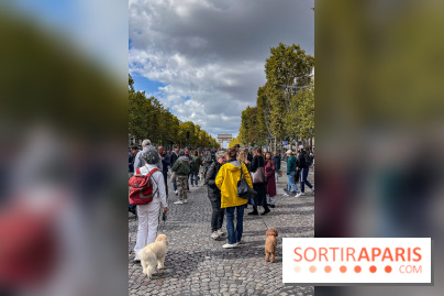 La Marche des animaux à Paris : défilé gratuit, ouvert aux chiens, chats ... sur les Champs-Élysées