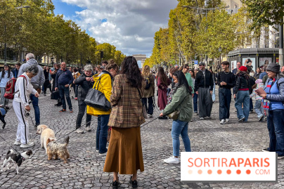La Marche des animaux à Paris : défilé gratuit, ouvert aux chiens, chats ... sur les Champs-Élysées