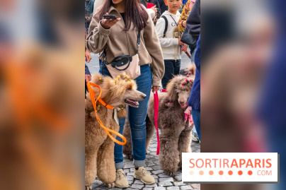 La Marche des animaux à Paris : défilé gratuit, ouvert aux chiens, chats ... sur les Champs-Élysées
