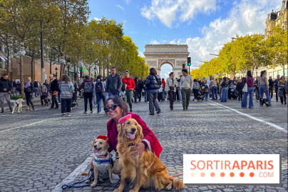 La Marche des animaux à Paris : défilé gratuit, ouvert aux chiens, chats ... sur les Champs-Élysées