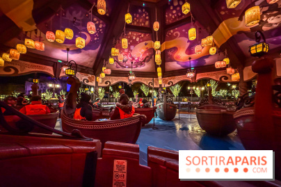 Raiponce Tangled Spin  - IMG 2183