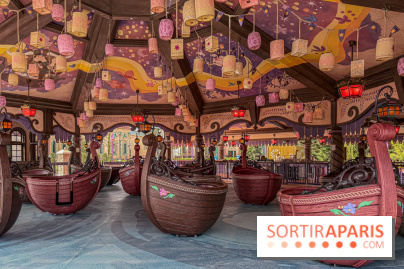 Raiponce Tangled Spin  - IMG 4602