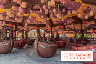 Raiponce Tangled Spin  - IMG 4603