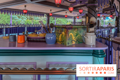 Raiponce Tangled Spin  - IMG 4605