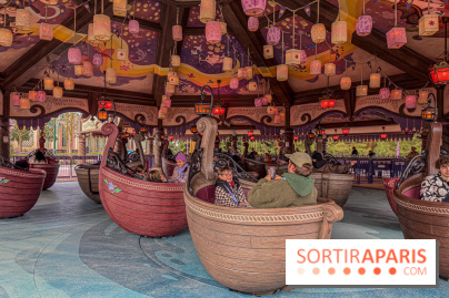 Raiponce Tangled Spin  - IMG 4609