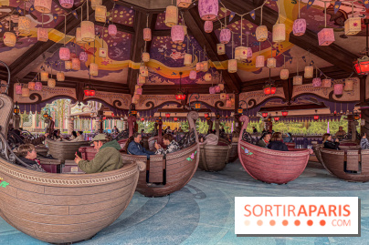 Raiponce Tangled Spin  - IMG 4611