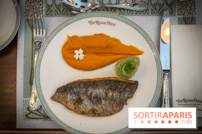 The Regal View - plat