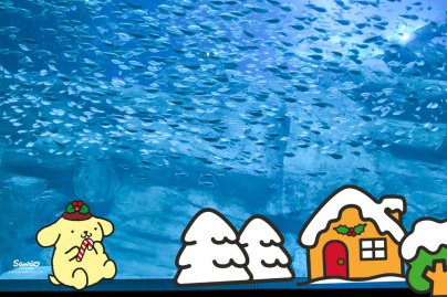 Hello Kitty et ses amis célèbrent les fêtes de fin d'année à l'Aquarium de Paris ! - 1000 x 1500 px newsletter 1