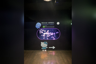 Hello Kitty et ses amis célèbrent les fêtes de fin d'année à l'Aquarium de Paris ! - IMG 8253