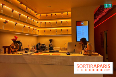 Brume Studio - IMG 1181