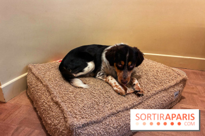 Brume Studio - IMG 1187