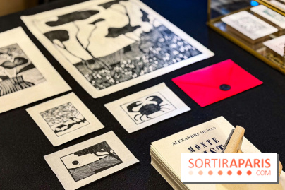 Noël 2025 à Paris : le charmant Marché de Noël dans une suite de l'Hôtel de Crillon  - IMG 3305