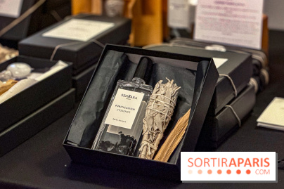 Noël 2025 à Paris : le charmant Marché de Noël dans une suite de l'Hôtel de Crillon  - IMG 3316