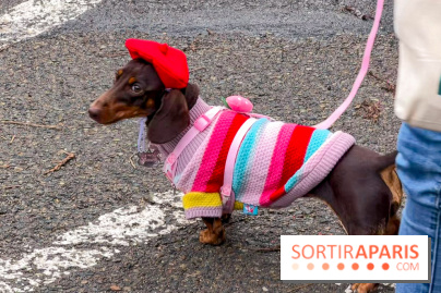 Paris Sausage Walk, la Marche des Teckels 2025