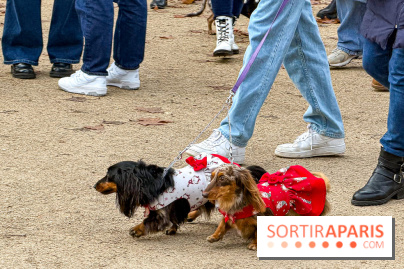 Paris Sausage Walk, la Marche des Teckels 2025