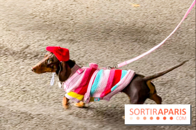 Paris Sausage Walk, la Marche des Teckels 2025