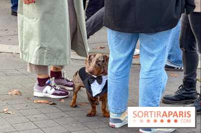 Paris Sausage Walk, la Marche des Teckels 2025