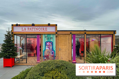 Noël 2025 aux Galeries Lafayette Haussmann : une patinoire éphémère sur les toits de Paris - IMG 3673