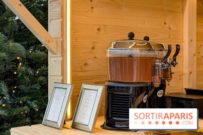 Noël 2025 aux Galeries Lafayette Haussmann : une patinoire éphémère sur les toits de Paris - IMG 3693