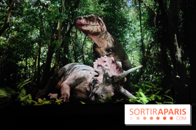 Dinosaures : l'expérience immersive qui nous fait remonter le temps à l'Atelier des Lumières, photos