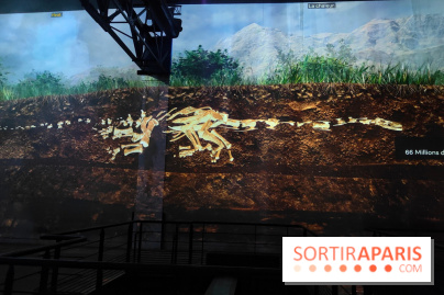 Dinosaures : l'expérience immersive qui nous fait remonter le temps à l'Atelier des Lumières, photos - fotor 1764680878280