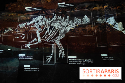 Dinosaures : l'expérience immersive qui nous fait remonter le temps à l'Atelier des Lumières, photos - fotor 1764680808767