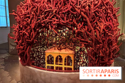 Ce qui se trame - IMG 1251