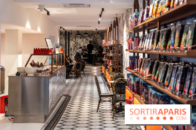 salon de thé chocolatier Chapon Saint-Germain-En-Laye - Yvelines:  chocolat chaud et gourmandises - photos - A7C01859