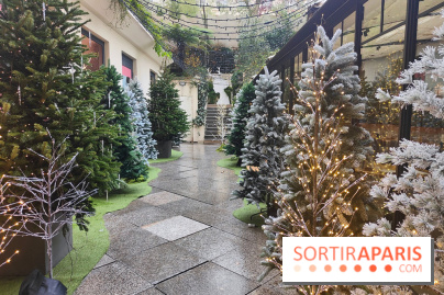 Noël danois à la Maison du Danemark : un voyage culturel pour les fêtes sur les Champs-Elysées - fotor 1764846290624