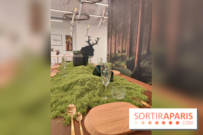 Noël danois à la Maison du Danemark : un voyage culturel pour les fêtes sur les Champs-Elysées - fotor 1764846614302