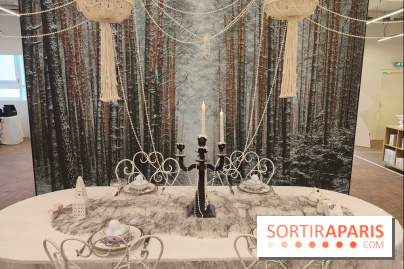 Noël danois à la Maison du Danemark : un voyage culturel pour les fêtes sur les Champs-Elysées - fotor 1764846429835