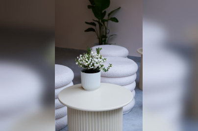 Campagne #36164 -  DSC7199