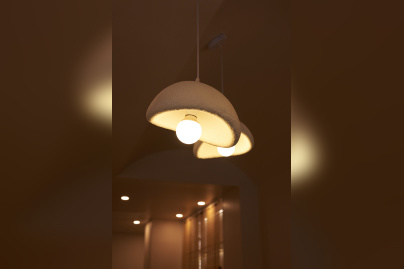 Campagne #36164 -  DSC7267