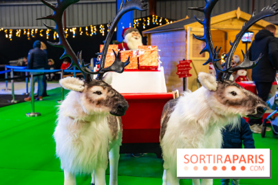 Le Marché de Noël d'Elancourt dans les Yvelines 2025 - photos  - A7C02502