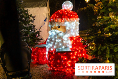 Le Marché de Noël d'Elancourt dans les Yvelines 2025 - photos  - A7C02571