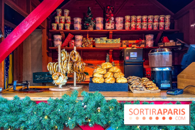 Noël au Parc Astérix 2025, patinoire et marché de Noël  - IMG 7399