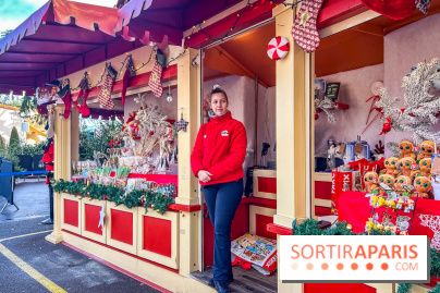 Noël au Parc Astérix 2025, patinoire et marché de Noël  - IMG 7450
